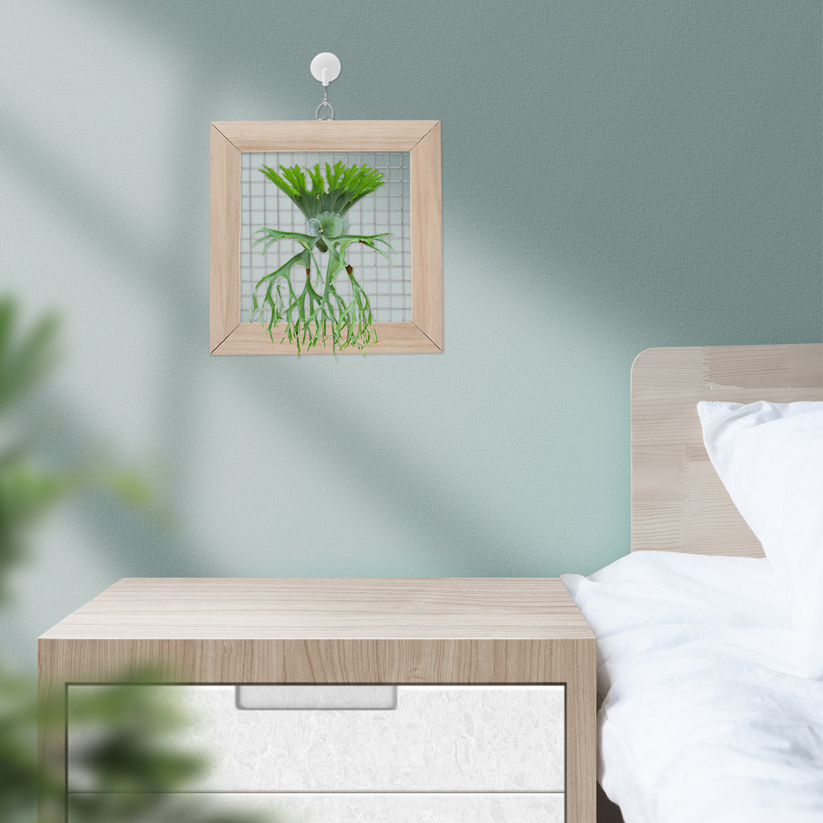 Solid Wood Staghorn Fern Mount – Frame Display Wood recenzja i cena