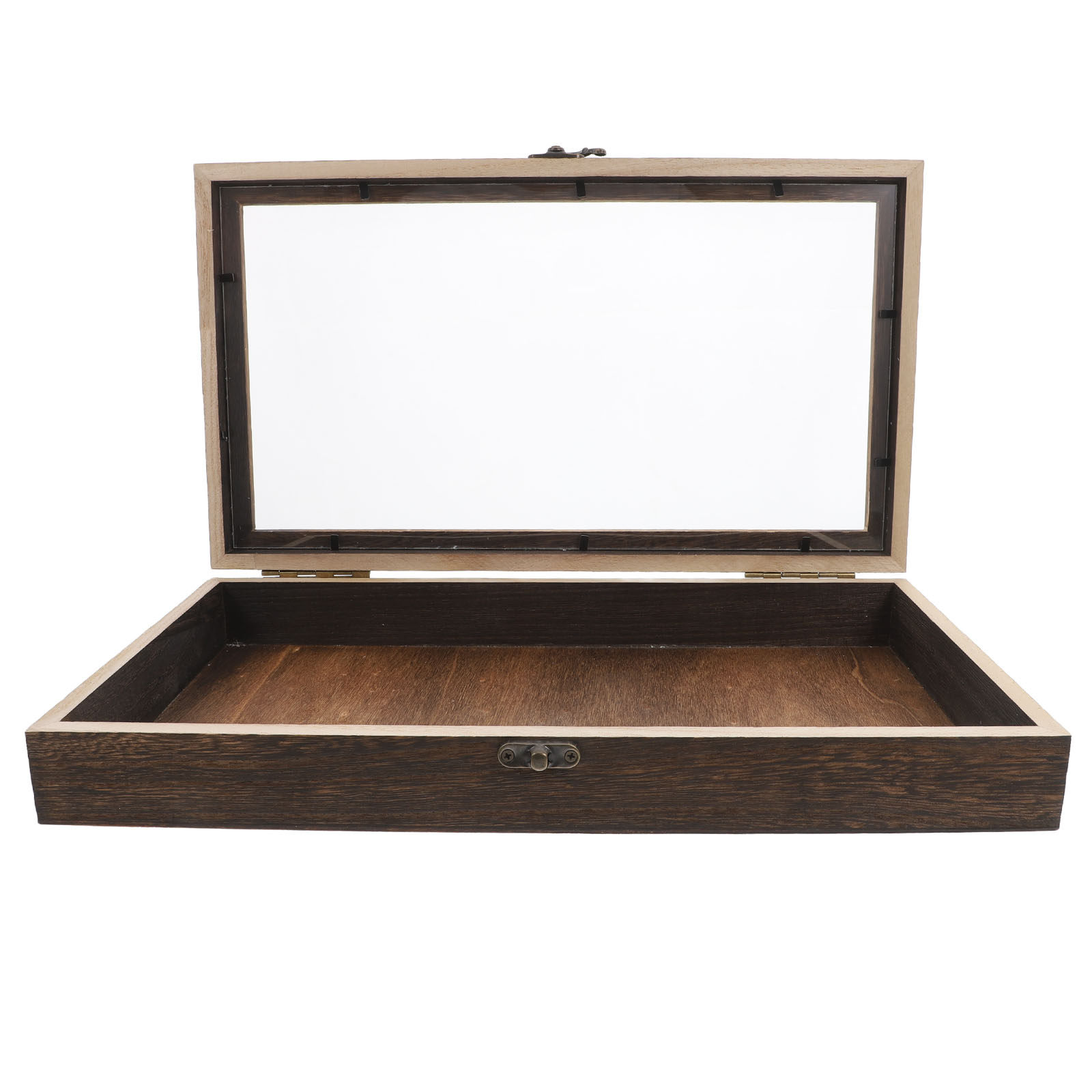 Insect Display Case Butterfly  – Frame Display Wood recenzja i cena